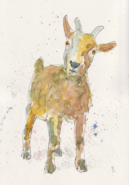 Original watercolour and ink sketch of a goat