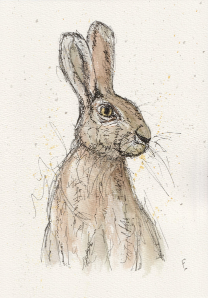 Original watercolour and ink sketch of a hare