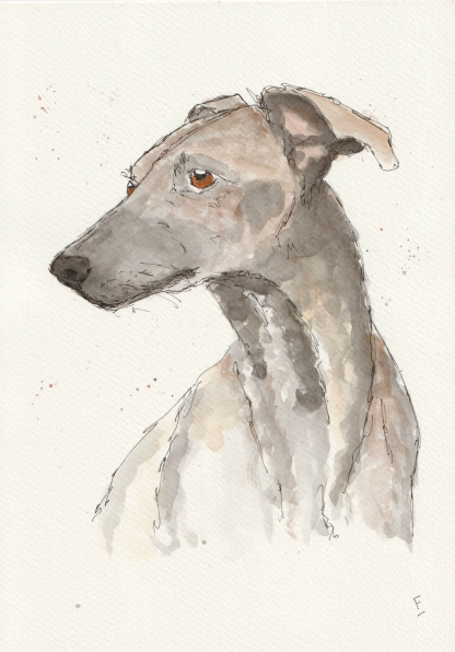 Original watercolour and ink sketch of a greyhound