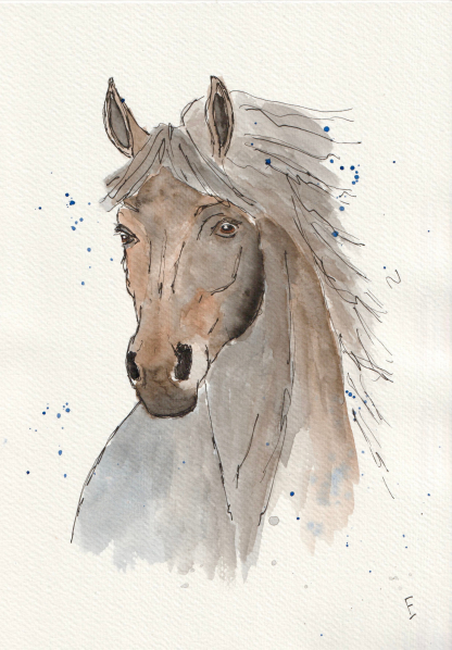 Original watercolour and ink sketch of a horse