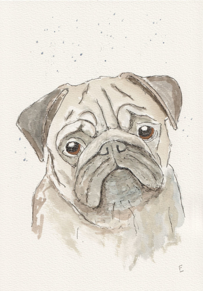 Original ink and wash sketch of a pug