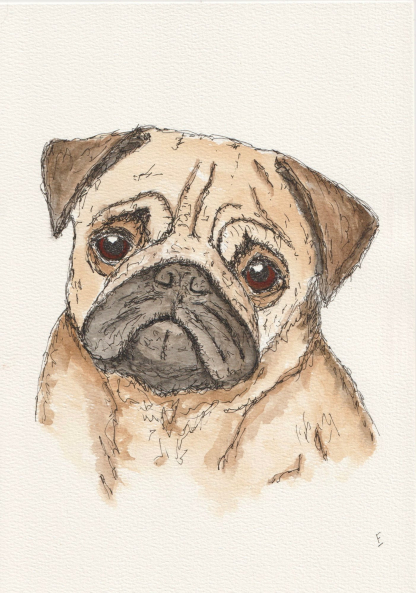 Original watercolour and ink sketch of a pug