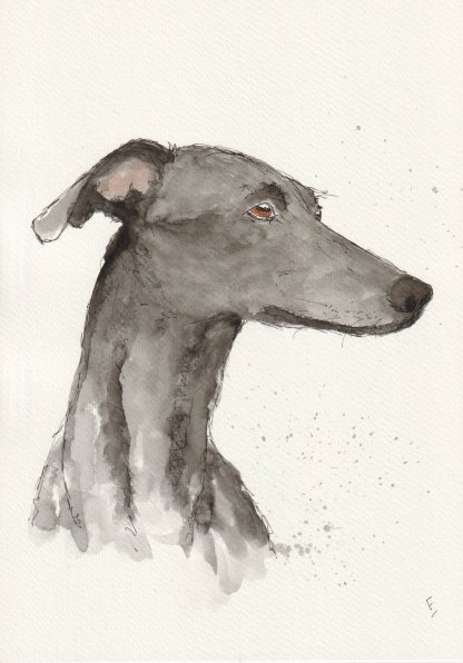 Original watercolour and ink sketch of a greyhound