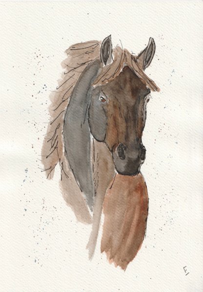 Original watercolour and ink sketch of a horse